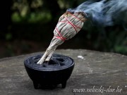 BIJELA KADULJA -White Sage 50g