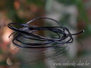 IMG_0076